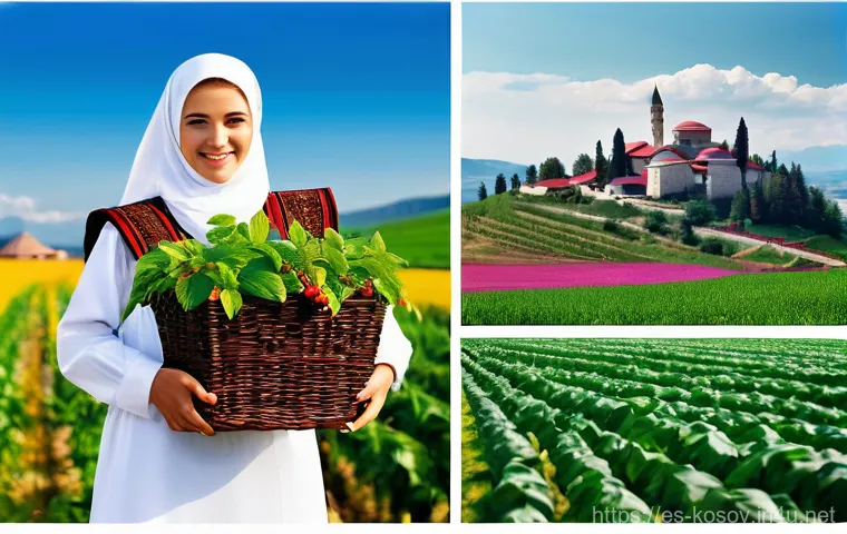 코소보의 경제 구조 - The search results confirm the vibrancy of Kosovo's youth tech scene, the importance of its agricult...