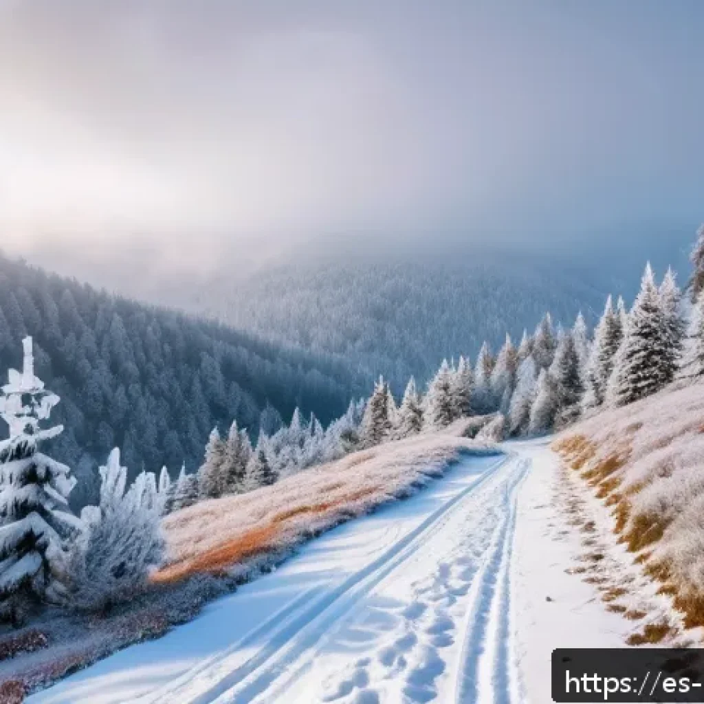 코소보에서 겨울을 보내는 법 - A serene winter landscape in the Šar Mountains of Kosovo, featuring snow-covered pine trees glisteni...