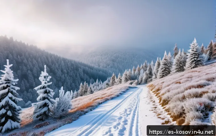 코소보에서 겨울을 보내는 법 - A serene winter landscape in the Šar Mountains of Kosovo, featuring snow-covered pine trees glisteni...