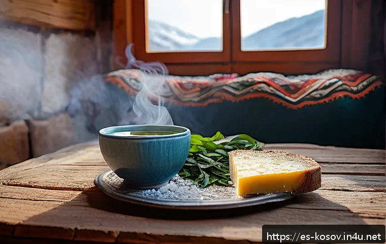 코소보에서 겨울을 보내는 법 관련 이미지 1